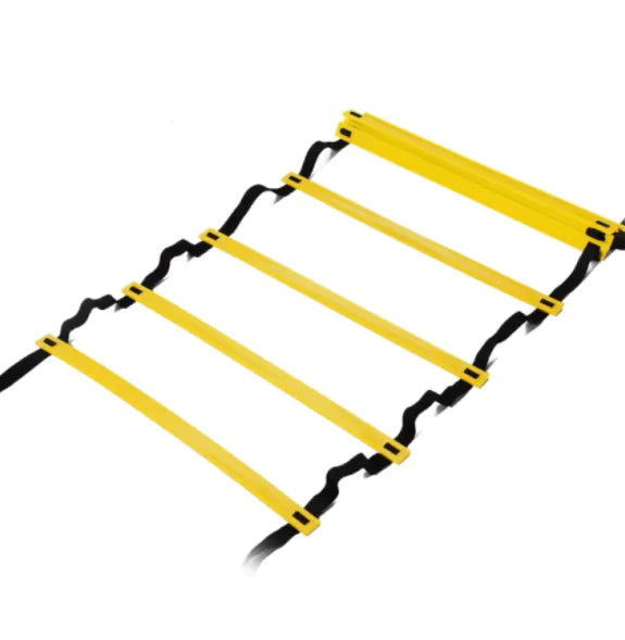 Agility Training Ladder